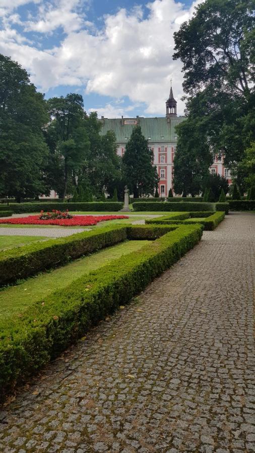 Chopin Park Lux Apartment, Self Check-In 24H, Free Parking, Air-Conditioning Poznan Ngoại thất bức ảnh